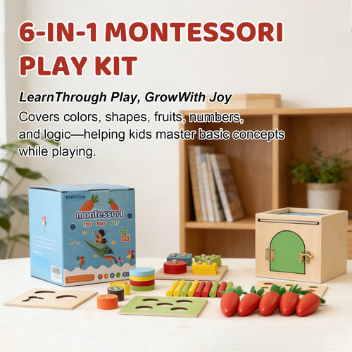 Shape Matching Toys