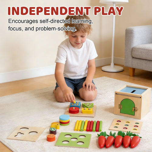 Shape Matching Toys