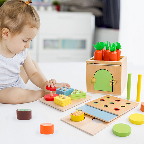 Shape Matching Toys