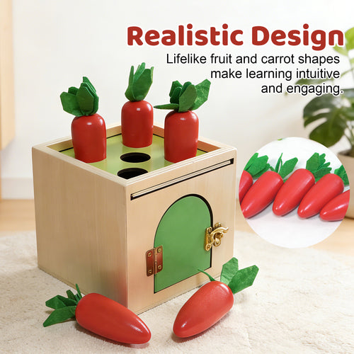 Shape Matching Toys